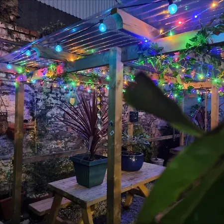 The Fox * 브리스틀