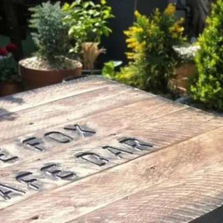 The Fox 여관 브리스틀