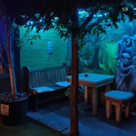 The Fox * Μπρίστολ